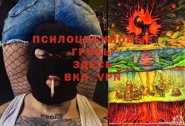 MDMA Premium VHQ Белокуриха
